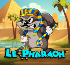 Arte slot insignia 1