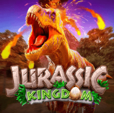 Arte slot insignia 9